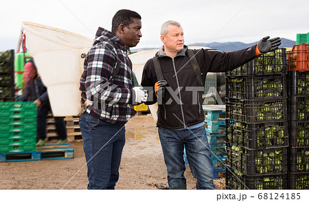 Portrait of two harvestmen with special baskets on their backs talking while preparing for harvesting artichokes on farm plantation Portrait of two harvestmen with special baskets on their backs talking while preparing for harvesting artichokes on farm plantation 68124185
