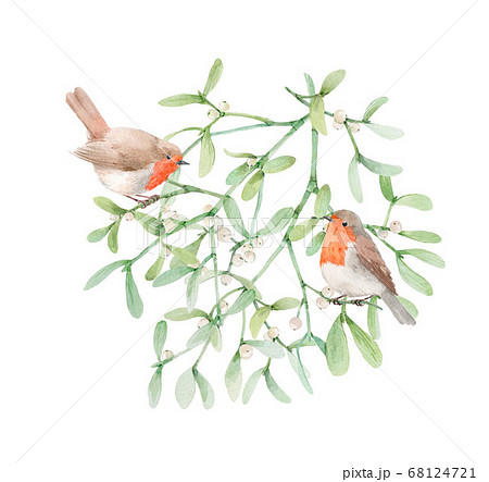 Beautiful image with watercolor mistletoe plant and robin bird. Stock illustraqtion. 68124721
