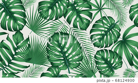 Trendy seamless tropical pattern with exotic leaves and plants jungle 68124930