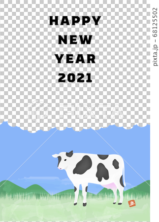 New Year's card postcard template Illustration of Holstein in the ranch, oxen year 2021 New Year's card postcard template Illustration of Holstein in the ranch, oxen year 2021 68125502