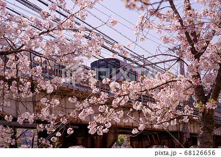 大阪桜ノ宮・春、大阪環状線淀川橋梁と桜の咲く風景 68126656