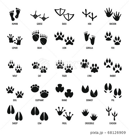 Animal Footprint Icons Set Simple Styleのイラスト素材