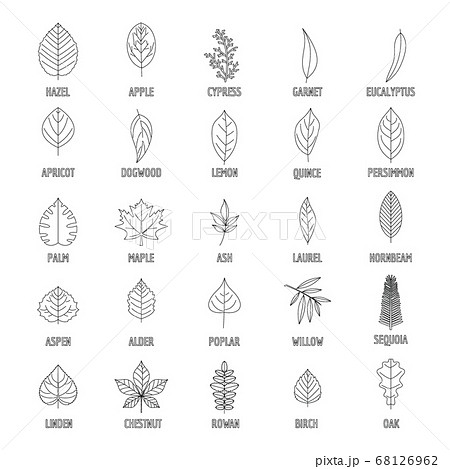 Leaf icons set, outline style 68126962