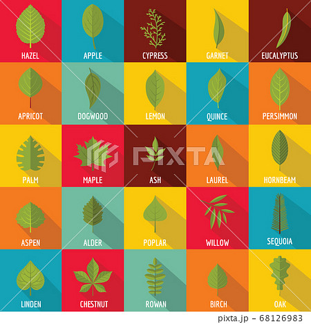 Leaf icons set, flat style Leaf icons set, flat style 68126983