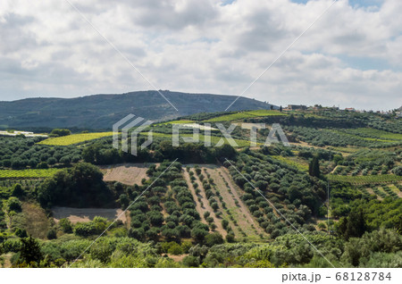panoramic view of the Cretan landscape. panoramic view of the Cretan landscape. 68128784