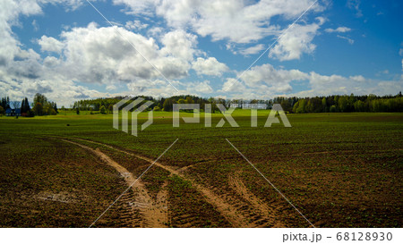 Spring in the fields of Latvia on a sunny day 68128930