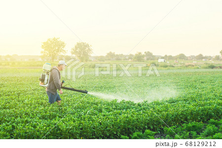 A farmer with a mist sprayer treats the potato plantation from pests and fungus infection. Use chemicals in agriculture. Harvest processing. Agriculture and agribusiness. Protection and care 68129212