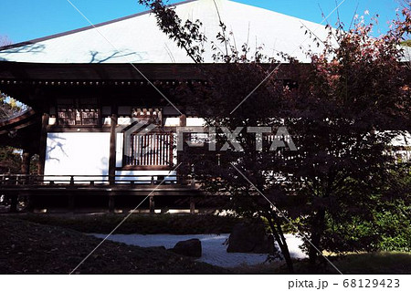 九品仏浄真寺　本堂 68129423