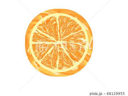 輪切りのオレンジのイラスト素材