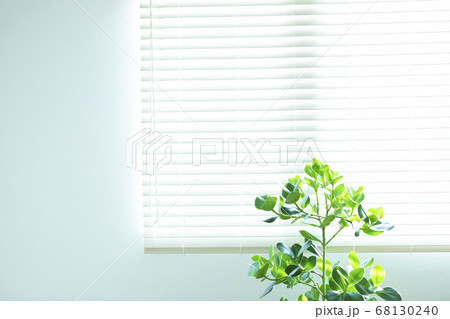 窓　ブラインド 68130240