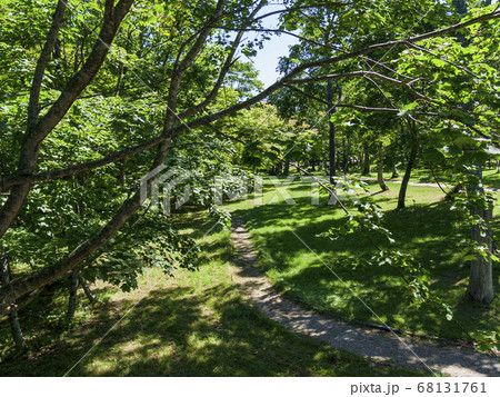 鬱蒼と茂る緑と公園の道 カーブ の写真素材