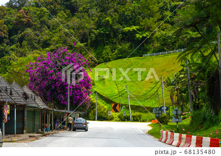 Landscape of the road in the mountains of Asia. Landscape of the road in the mountains of Asia. 68135480