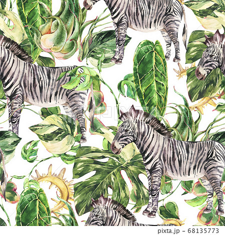 Watercolor tropical zebra animals seamless pattern 68135773