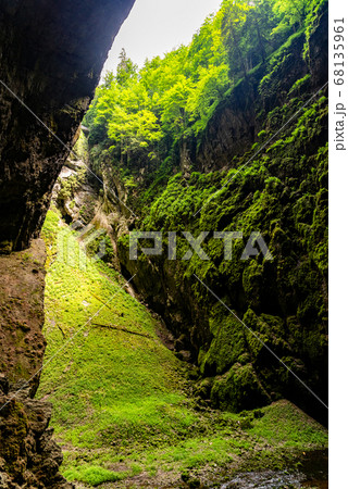 Macocha Abyss - large limestone gorge in Moravian Karst, Czech: Moravsky Kras, Czech Republic. View from bottom. Macocha Abyss - large limestone gorge in Moravian Karst, Czech: Moravsky Kras, Czech Republic. View from bottom. 68135961