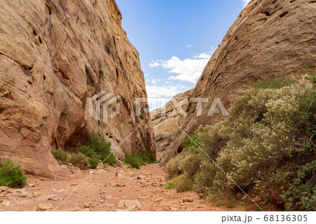Beautiful landsacpe along the Pioneer Register of Beautiful landsacpe along the Pioneer Register of 68136305