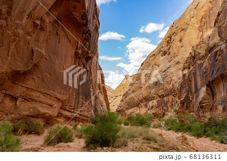 Beautiful landsacpe along the Pioneer Register of 68136311