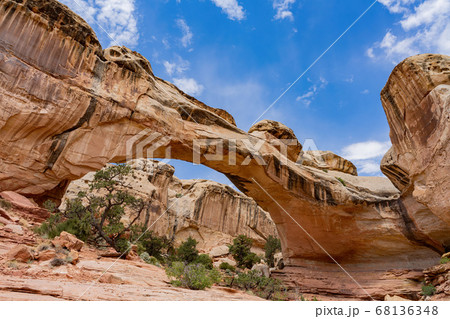 Sunny view of the Hickman Bridge of Capitol Reef Sunny view of the Hickman Bridge of Capitol Reef 68136348