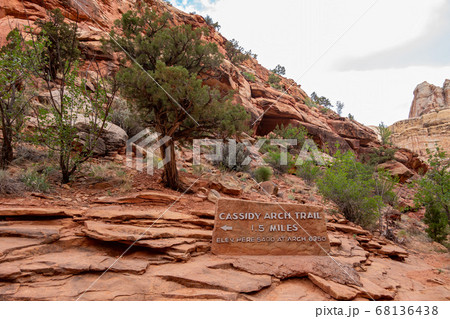 Beautiful landscape along the Cassidy Arch Trail 68136438