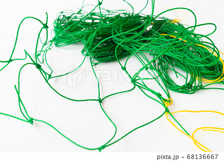 グリーンカーテン用のネット　夏の省エネのためのグリーンカーテン用ネット　緑のカーテン 68136667