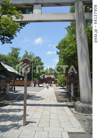 鳥居からのぞく秩父神社の御本殿（埼玉県秩父市番場町1-1） 68137908