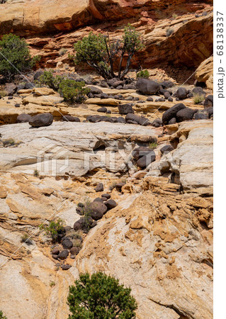 Beautiful landscape around the Hickman Bridge Beautiful landscape around the Hickman Bridge 68138337