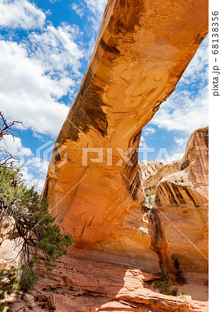 Sunny view of the Hickman Bridge of Capitol Reef Sunny view of the Hickman Bridge of Capitol Reef 68138356