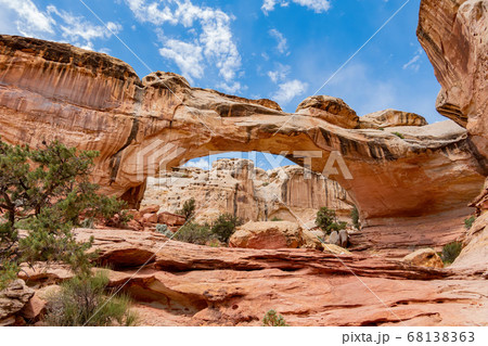 Sunny view of the Hickman Bridge of Capitol Reef Sunny view of the Hickman Bridge of Capitol Reef 68138363