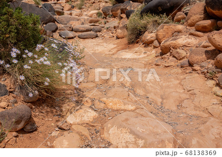 Beautiful landscape around the Hickman Bridge Beautiful landscape around the Hickman Bridge 68138369