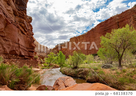 Beautiful landscape around the Hickman Bridge 68138370