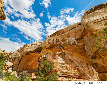 Beautiful landscape around the Hickman Bridge Beautiful landscape around the Hickman Bridge 68138448