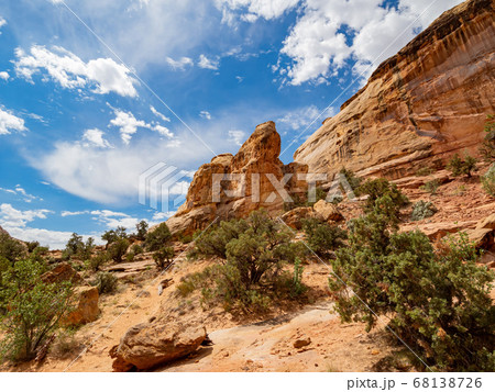 Sunny view of the Hickman Bridge of Capitol Reef Sunny view of the Hickman Bridge of Capitol Reef 68138726
