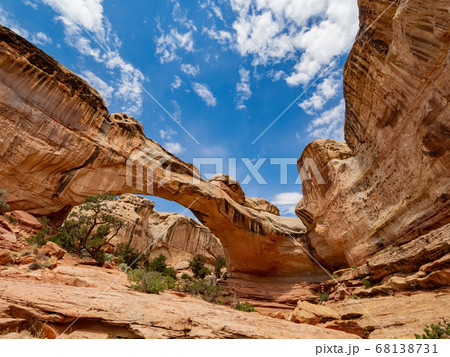 Sunny view of the Hickman Bridge of Capitol Reef 68138731