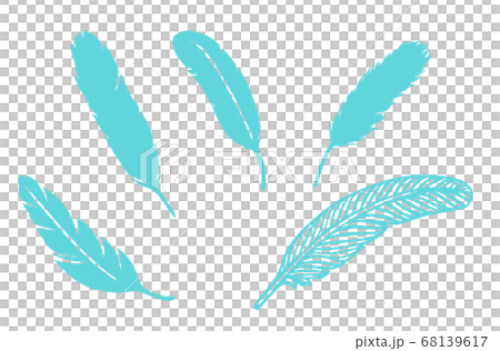 Feathers 68139617
