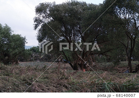 破壊 災害 浸水 68140007