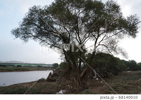 破壊 災害 浸水 68140010