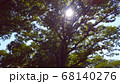 森の中の木漏れ日 68140276