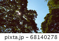 太陽と空と大きな木 68140278
