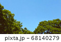 樹木と青空  68140279