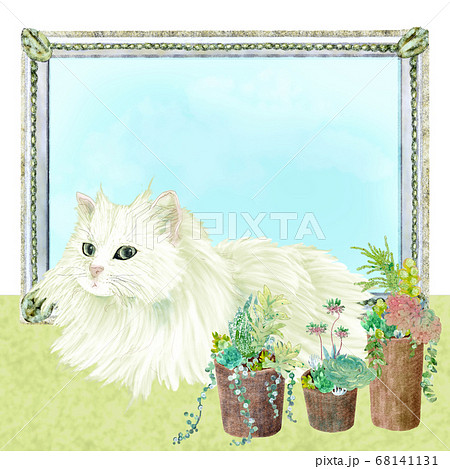 ペルシャ猫と多肉植物の鉢植えのイラストのイラスト素材