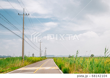 Empty road with green reed field at Hwaseong Fossilized Dinosaur Egg Site in Hwaseong, Korea Empty road with green reed field at Hwaseong Fossilized Dinosaur Egg Site in Hwaseong, Korea 68142104