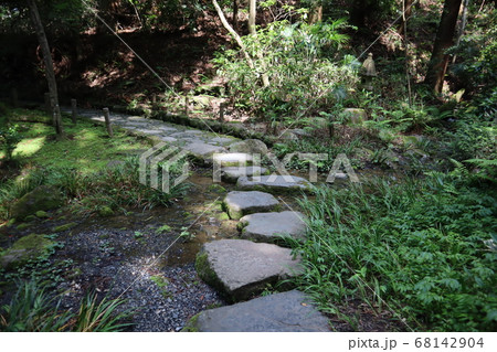 成田山公園の道 68142904