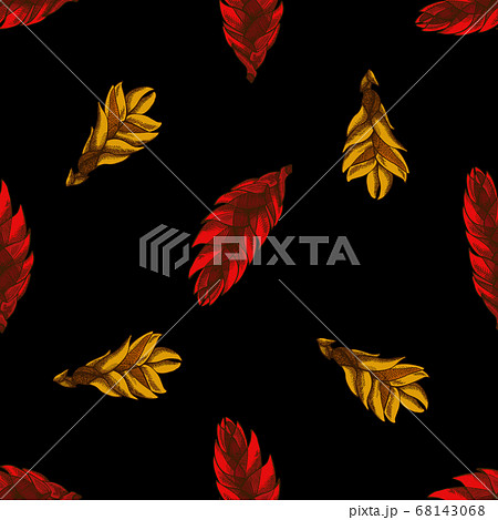 Seamless pattern with hand drawn colored bromeliad 68143068