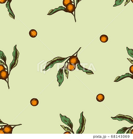 Seamless pattern with hand drawn colored solanum Seamless pattern with hand drawn colored solanum 68143069