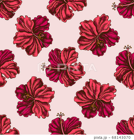 Seamless pattern with hand drawn colored hibiscus 68143070