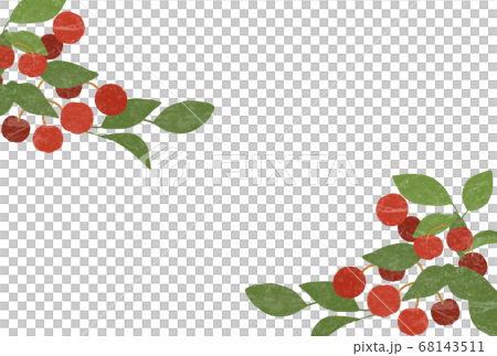 チェッカーベリーのイラストフレームのイラスト素材