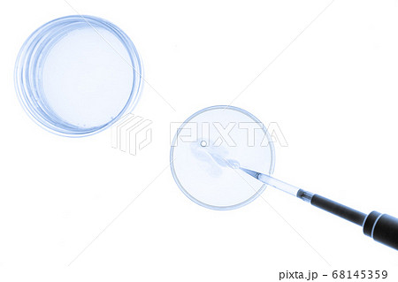 Chemical research in Petri dishes on white Chemical research in Petri dishes on white 68145359