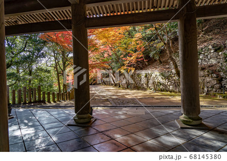 滋賀県　錦秋の永源寺の山門 68145380