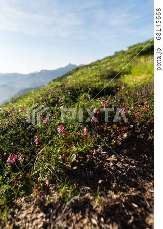 槍ケ岳遠望 68145668