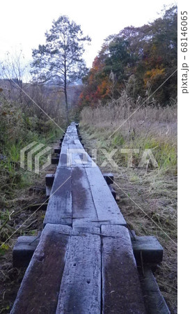 凍る木道 凍る木道 68146065