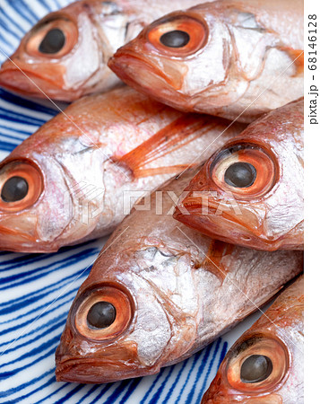のどぐろの干物 のどぐろの干物 68146128